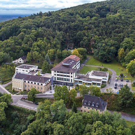 Kloster Neustadt Neustadt an der Weinstraße エクステリア 写真