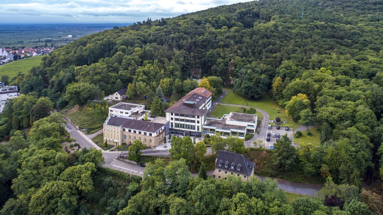 Kloster Neustadt Neustadt an der Weinstraße エクステリア 写真